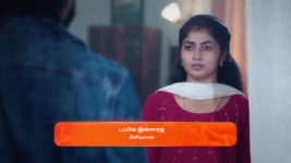 Veera (Zee Tamil) S01 E203 22nd November 2024