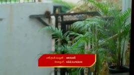 Yeto Vellipoyindhi Manasu S01 E249 Nandhini Is Unsuccessful