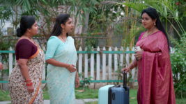 Brahma Mudi S01 E575 What Is Aparna Brewing?