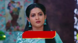 Intinti Ramayanam (Star Maa) S01 E147 Pallavi's Devious Plan