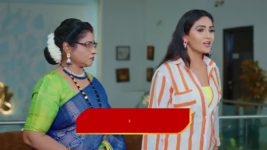 Karthika Deepam S02 E195 Swapna, Kasi's Plea