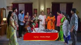 Maamagaru (Star Maa) S01 E378 Venkatrao's Advice to Gangadhar