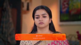 Anna (Tamil) S01 E536 2nd December 2024