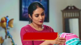 Intinti Ramayanam (Star Maa) S01 E153 Pallavi Grows Envious of Avani