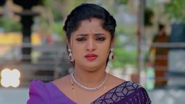 Janaki Ramayya Gari Manavaralu S01 E185 6th December 2024