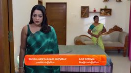 Ninaithen Vandhai (Zee Tamil) S01 E243 3rd December 2024