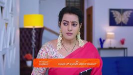 Shravani Subramanya S01 E187 4th December 2024